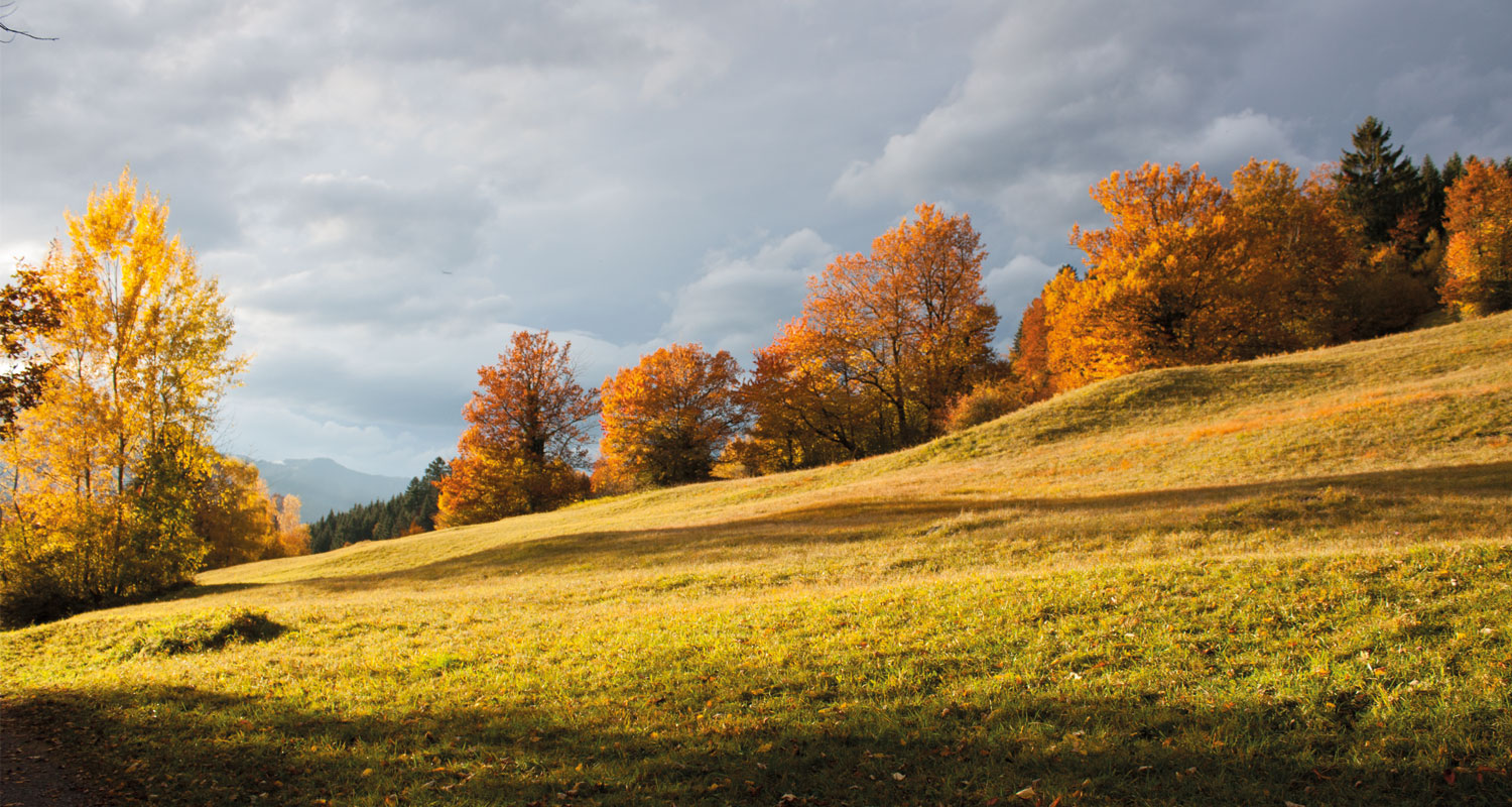Slider-Bild Herbst