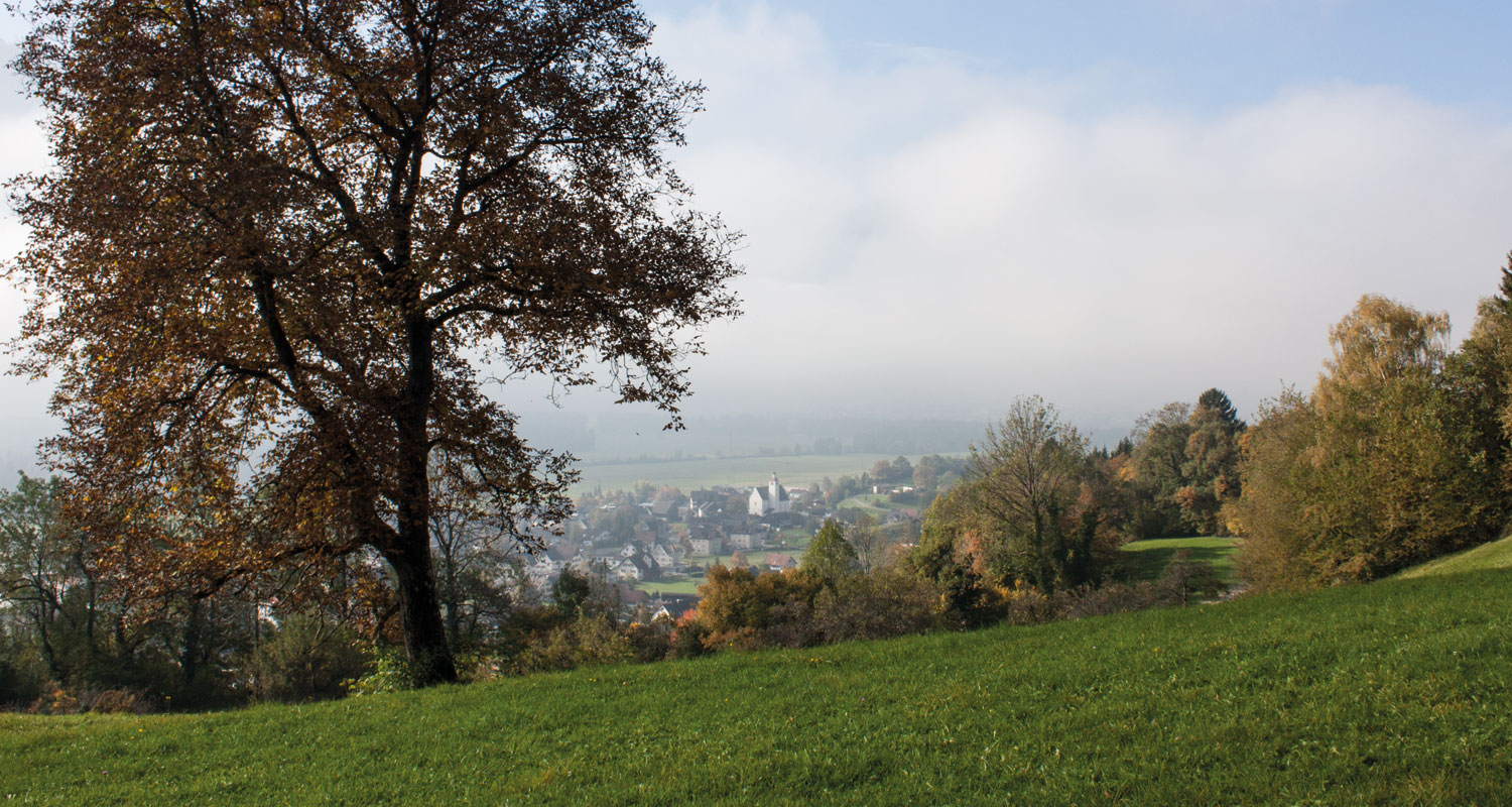 Slider-Bild Herbst