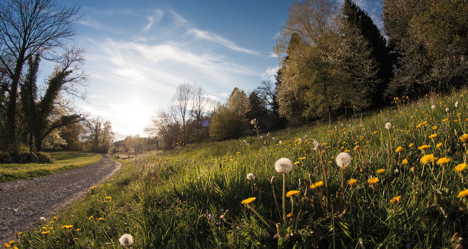 Slider-Bild Sommer