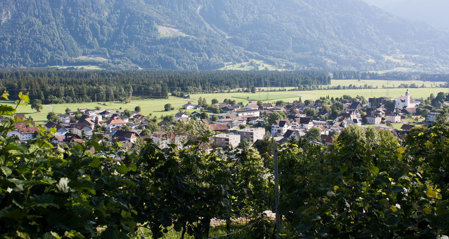 Slider-Bild Sommer