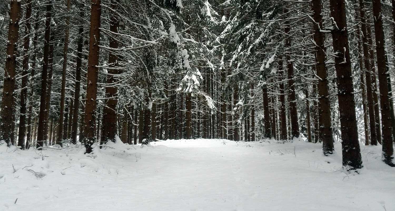 Slider-Bild Winter