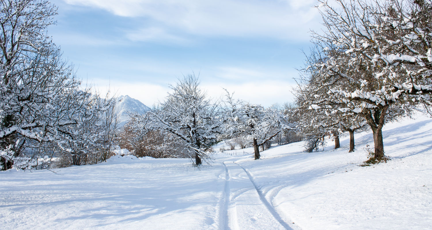 Slider-Bild Winter
